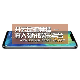 华为无线快充手机